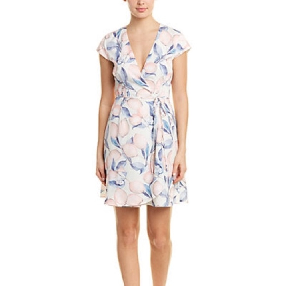 Hutch Wrap Dress